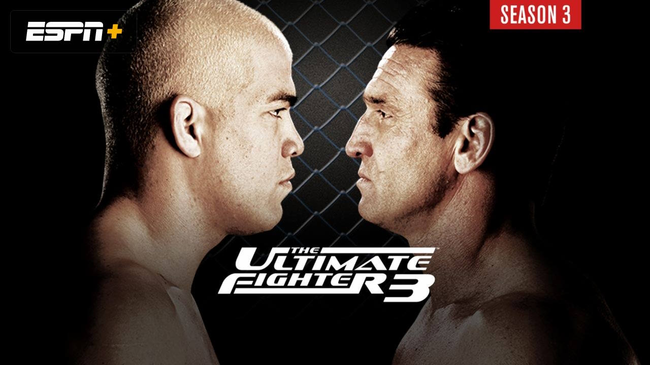 the ultimate fighters season 3